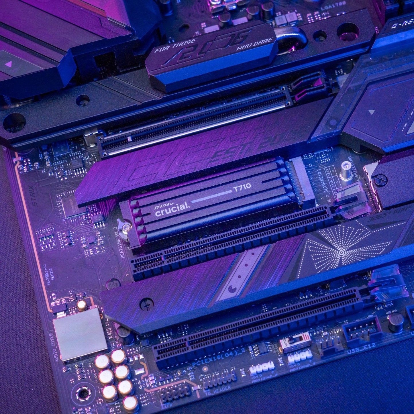 Crucial T710 1TB M.2 NVMe Gen5 NAND SSD with Heatsink | dynacor.co.za