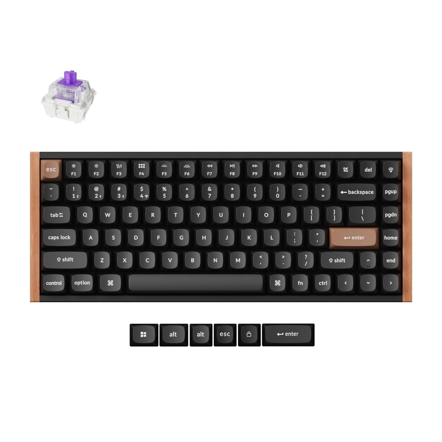 Keychron K2 HE Wireless Special Edition Magnetic Custom Keyboard | NEBULA Switch – Black | dynacor.co.za