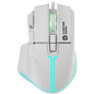 CANYON Gaming Mouse Fortnax GM-636 RGB 9buttons Wired White | dynacor.co.za