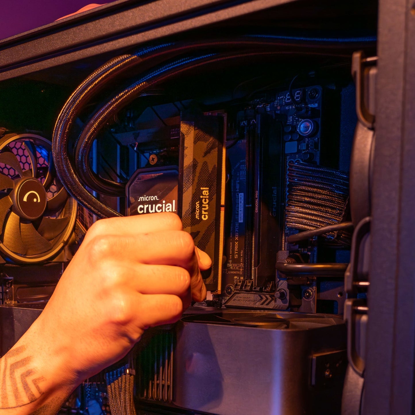 Crucial Pro 16GB 6400Mhz DDR5 Desktop OC Gaming Memory - Black | dynacor.co.za