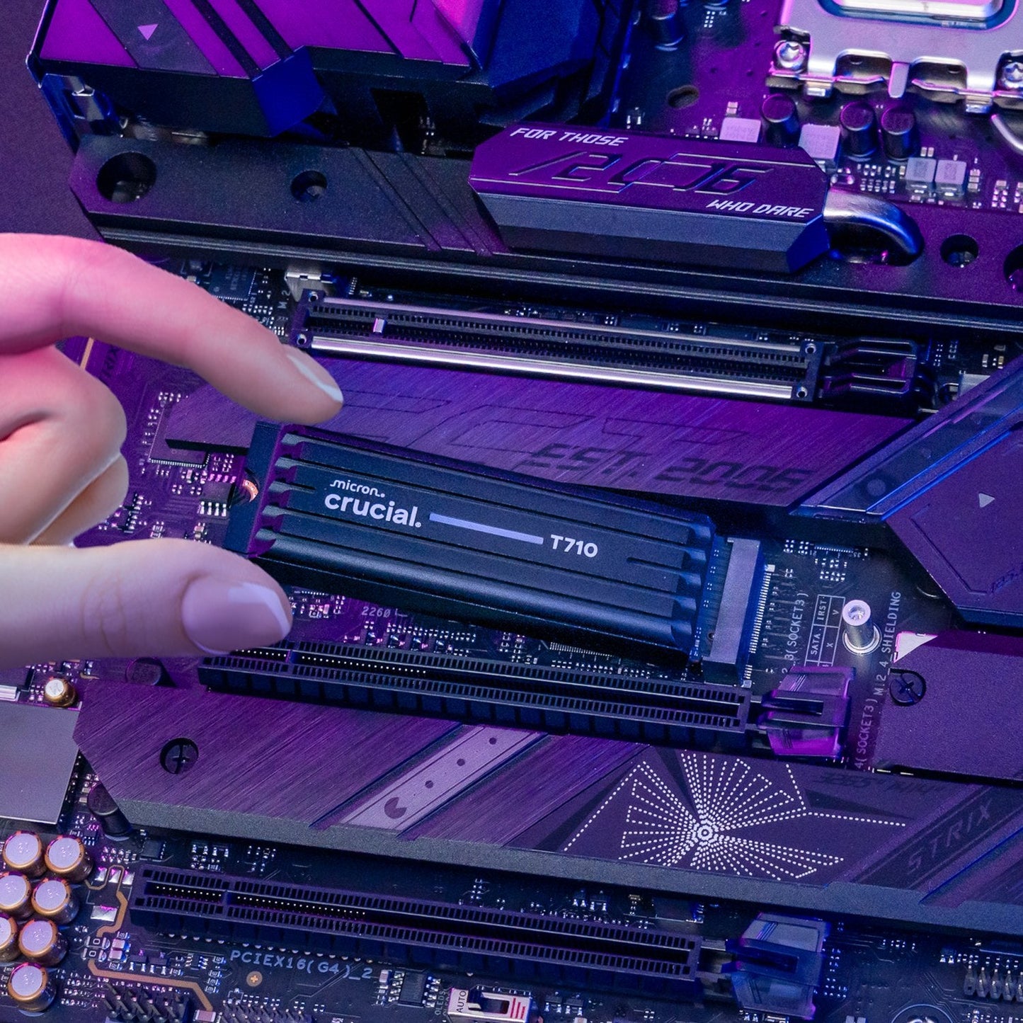 Crucial T710 1TB M.2 NVMe Gen5 NAND SSD with Heatsink | dynacor.co.za