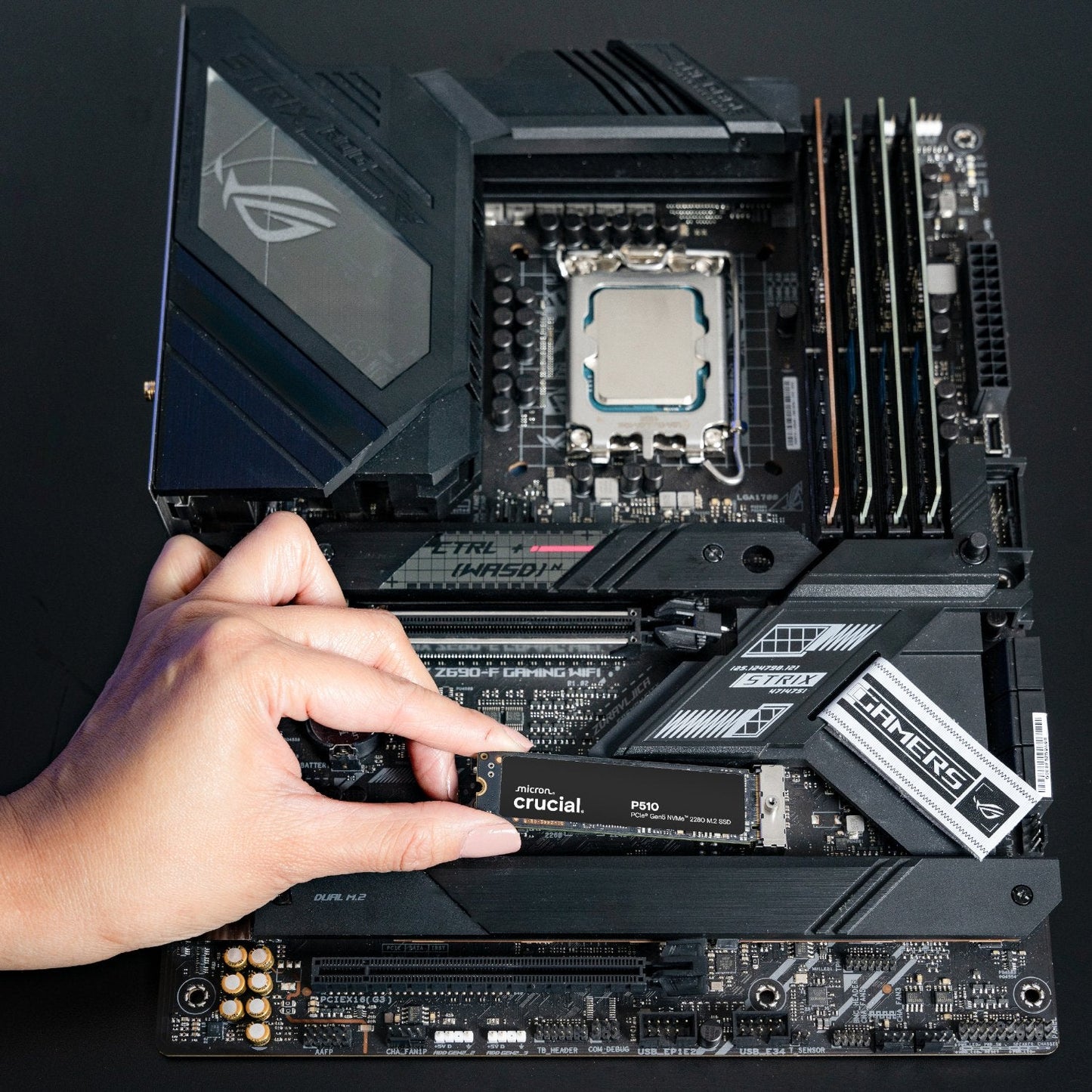 Crucial P510 2TB M.2 Gen5 NVMe 3D NAND SSD | dynacor.co.za