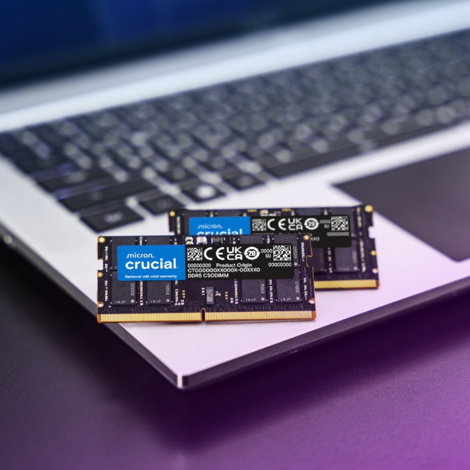 Crucial DDR5-6400 64GB CSODIMM Notebook Memory Kit (2 x 32GB) | dynacor.co.za