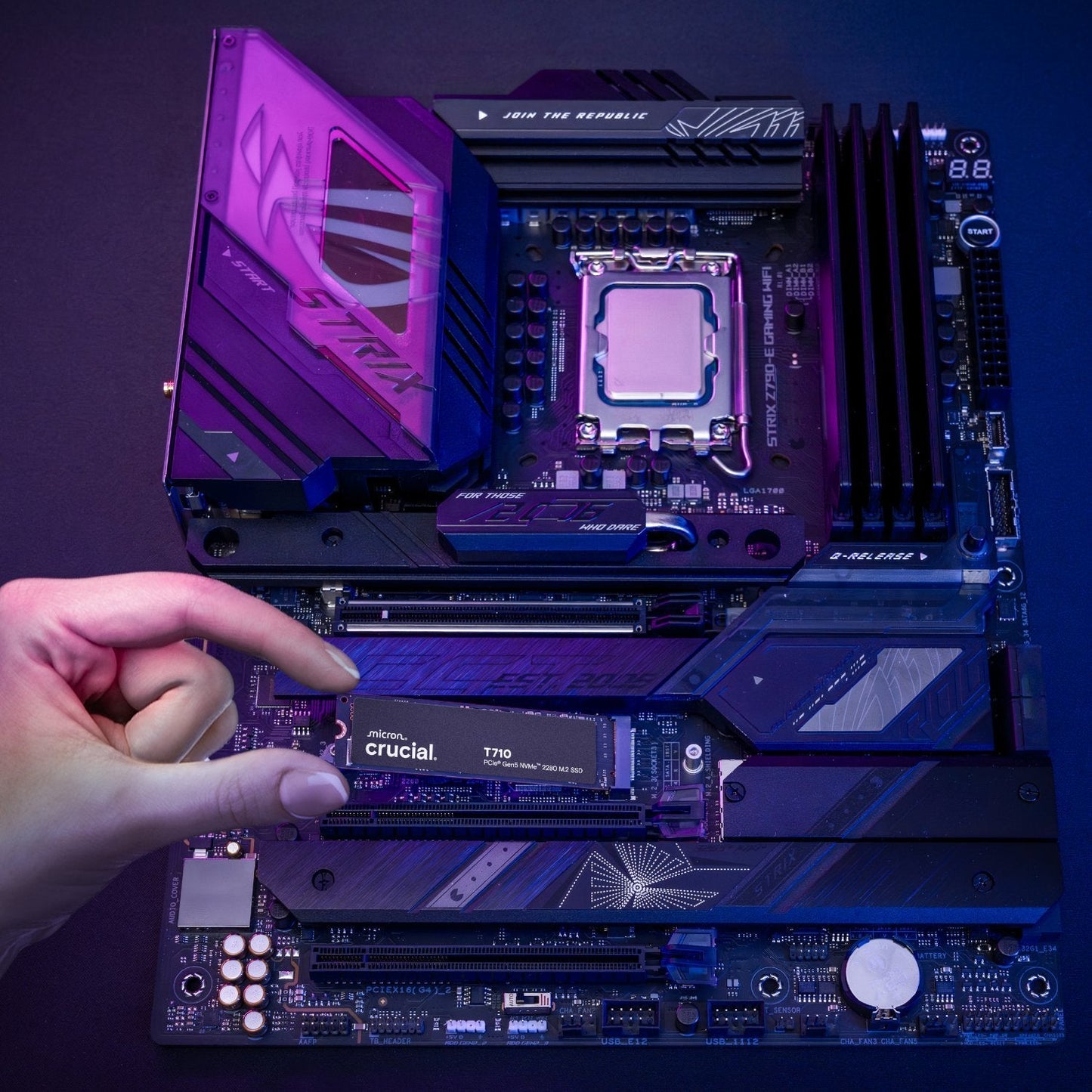 Crucial T710 4TB M.2 NVMe Gen5 NAND SSD | dynacor.co.za