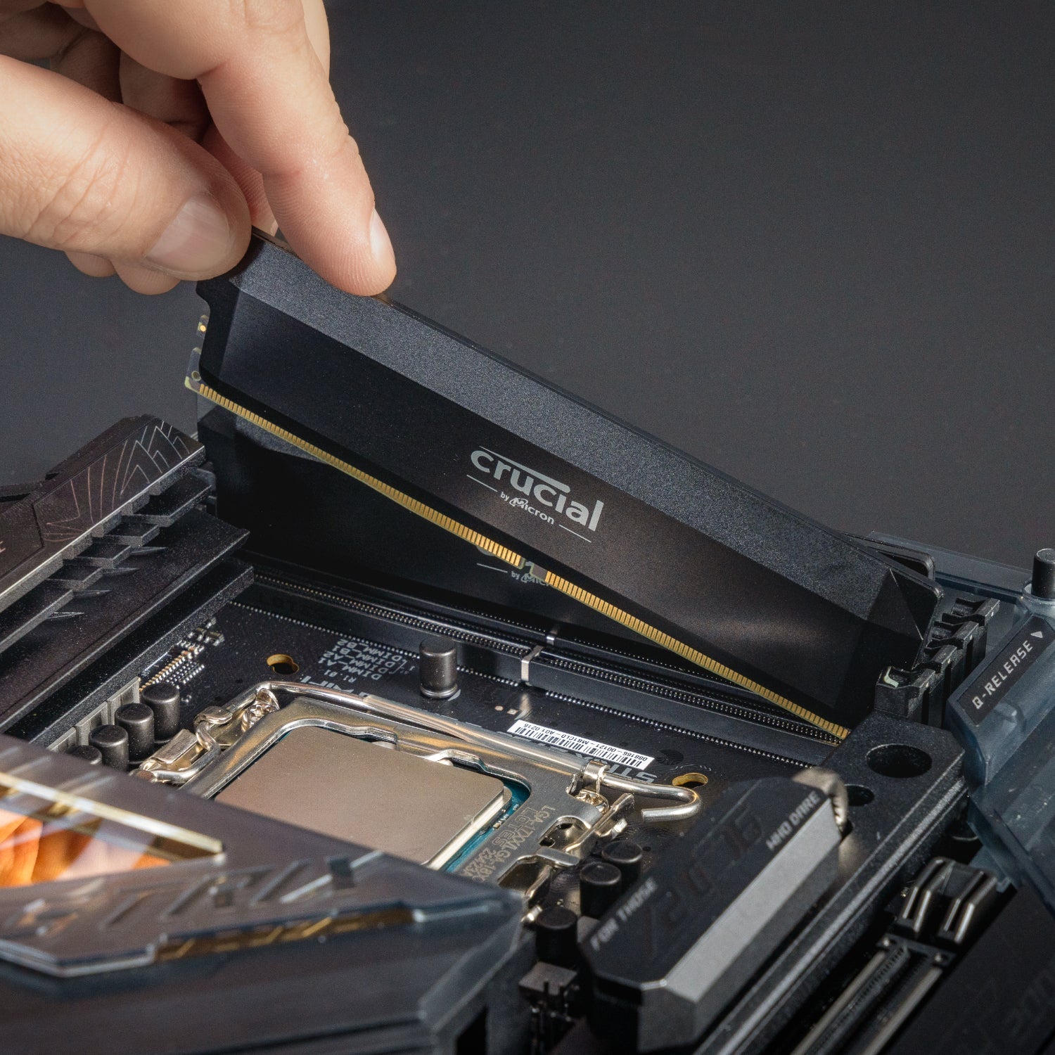 Crucial Pro Overclocking 32GB 6000Mhz DDR5 Desktop Memory Black | dynacor.co.za