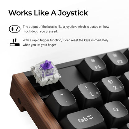 Keychron K10 HE 100% Wireless Magnetic Gaming Keyboard Nebula Switches – Black | dynacor.co.za