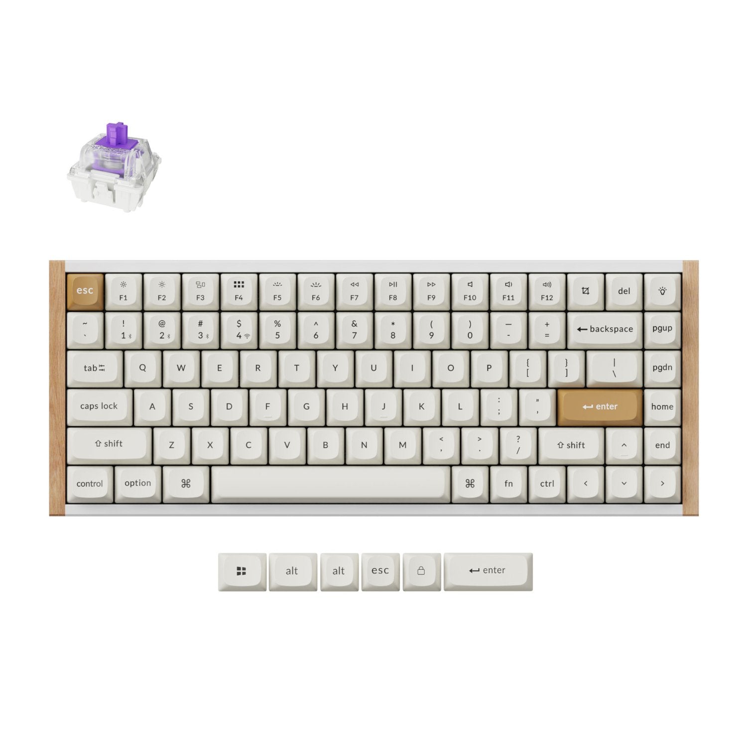 Keychron K2 HE Wireless Special Edition Magnetic Custom Keyboard | NEBULA Switch – White | dynacor.co.za