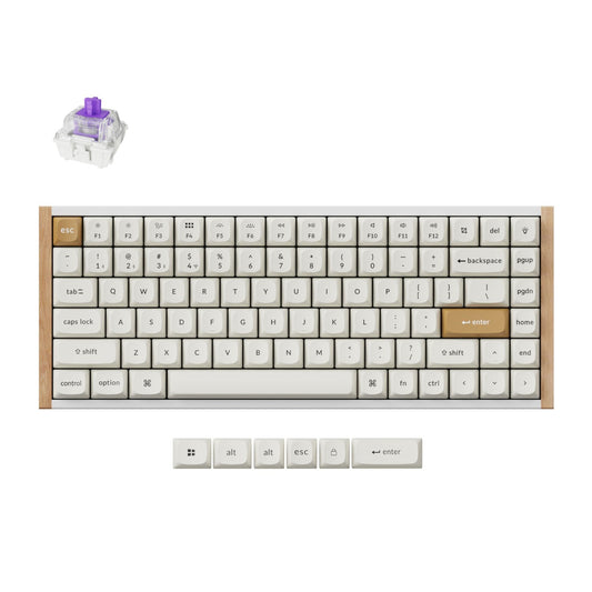 Keychron K2 HE Wireless Special Edition Magnetic Custom Keyboard | NEBULA Switch – White | dynacor.co.za