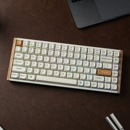 Keychron K2 HE Wireless Special Edition Magnetic Custom Keyboard | NEBULA Switch – White | dynacor.co.za