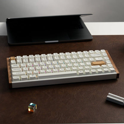 Keychron K2 HE Wireless Special Edition Magnetic Custom Keyboard | NEBULA Switch – White | dynacor.co.za