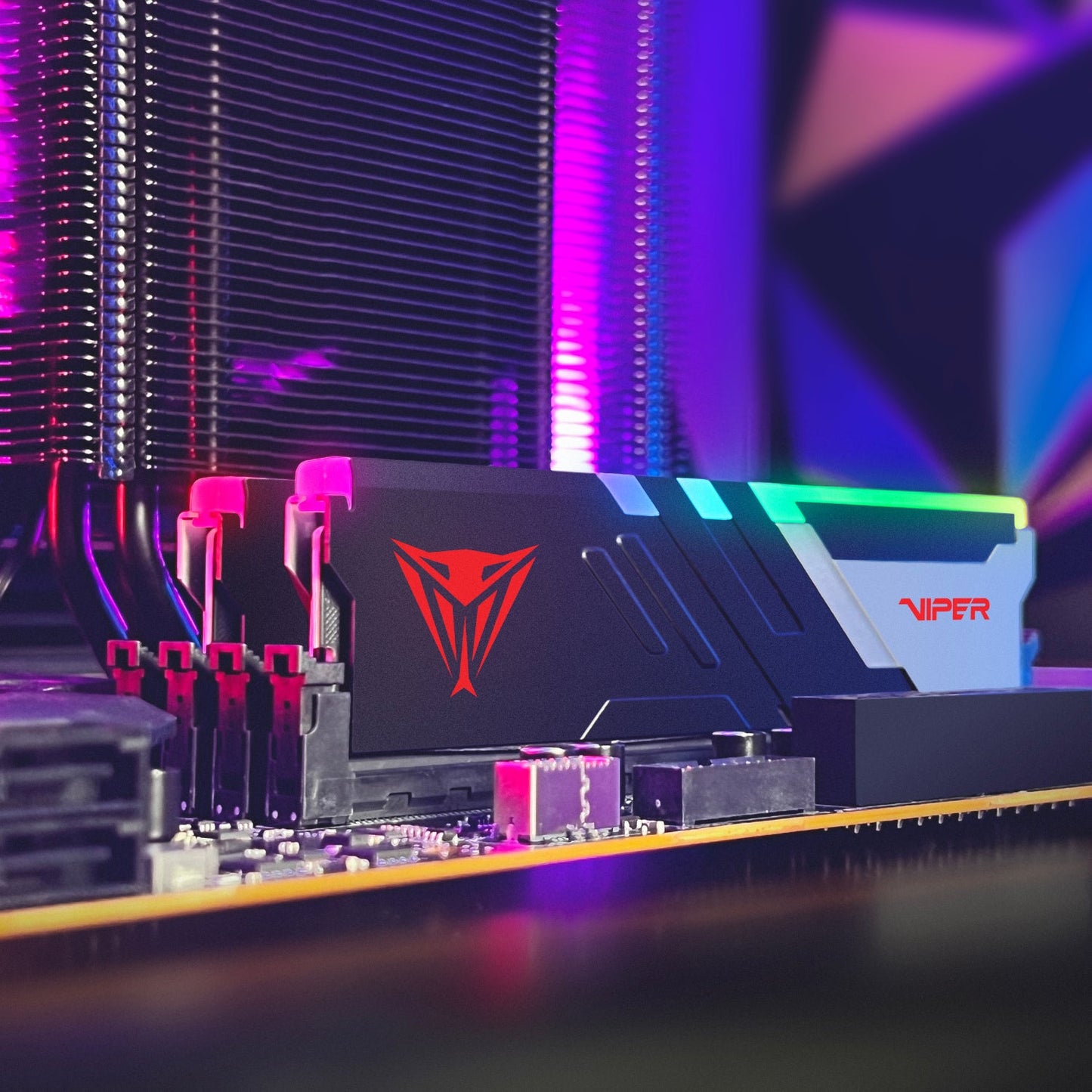 Patriot Viper Venom 64GB Kit (2x32GB) 6000MHz DDR5 Desktop Gaming Memory RGB | dynacor.co.za