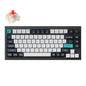Keychron Q1 Max QMK/VIA RGB Wireless Custom Mechanical Keyboard (Gateron RED Switches) - Black | dynacor.co.za