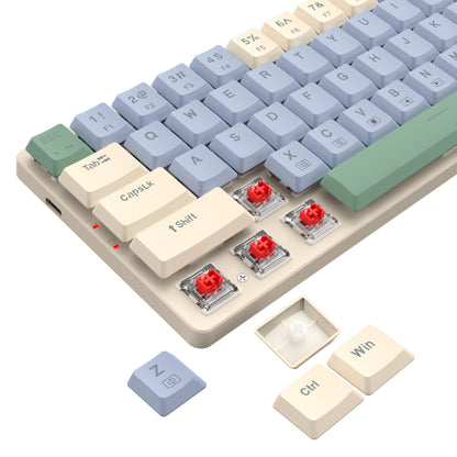 Redragon BS8772 Wireless Keyboard and Mouse Combo - Cream/Blue