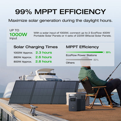 ECOFLOW Delta 2 Max Lithium (LiFePo)  Portable Power Station -  2400W Output; 2048Wh LFP Battery; 1000W Solar - SA socket. | dynacor.co.za